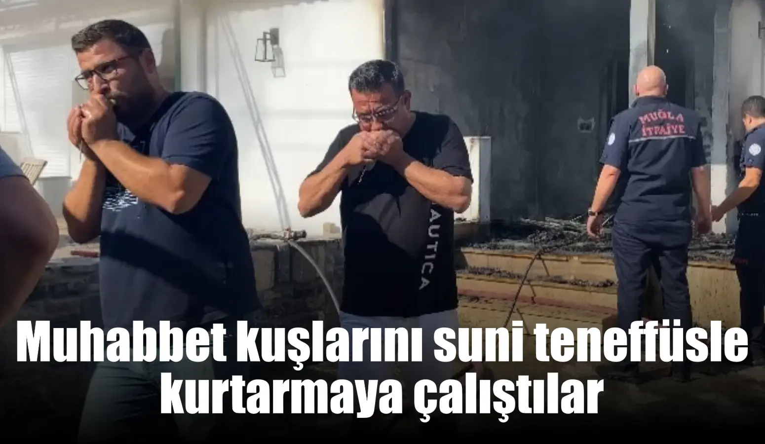 Muhabbet kuşlarını suni teneffüsle kurtarmaya çalıştılar