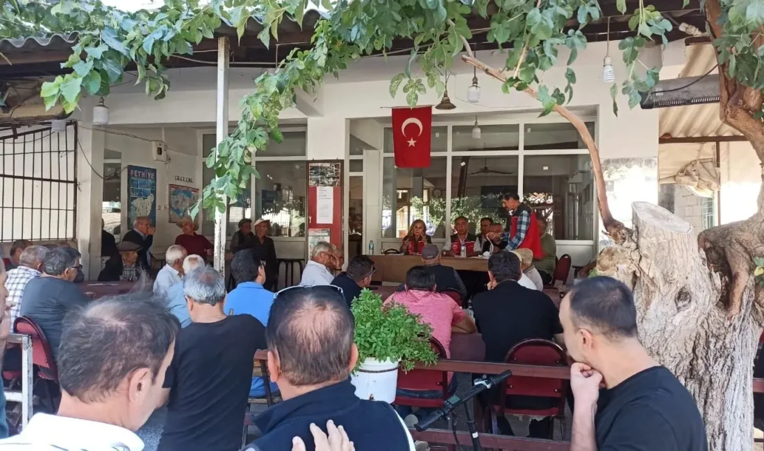 Fethiye İlçe Tarım ve