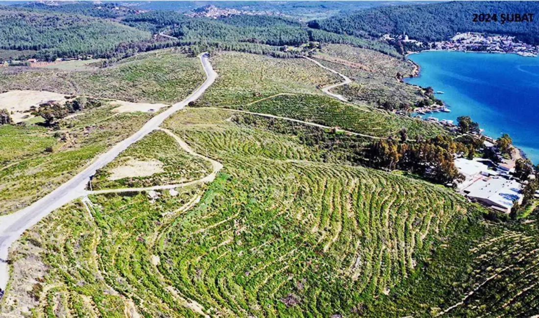 Muğla tarihinin en büyük