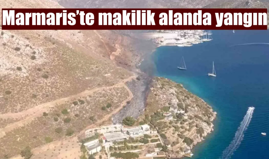 Muğla’nın Marmaris ilçesinde otluk