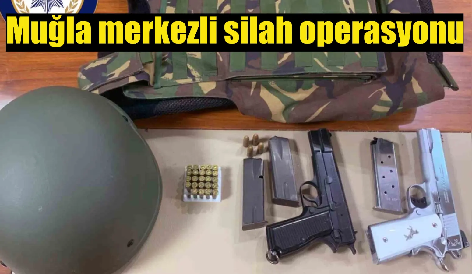 Muğla merkezli silah operasyonu