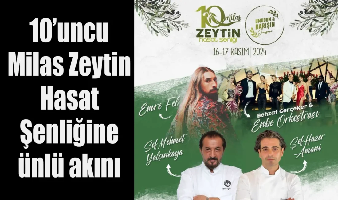 Milas’ın geleneksel zeytin kültürü