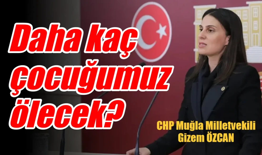 Muğla Milletvekili Avukat Gizem