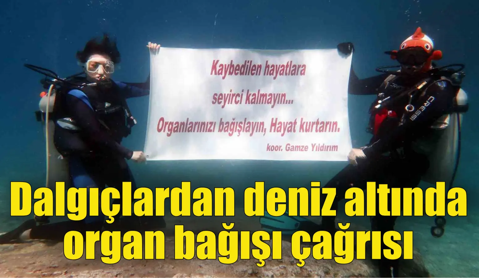 Dalgıçlardan deniz altında organ bağışı çağrısı