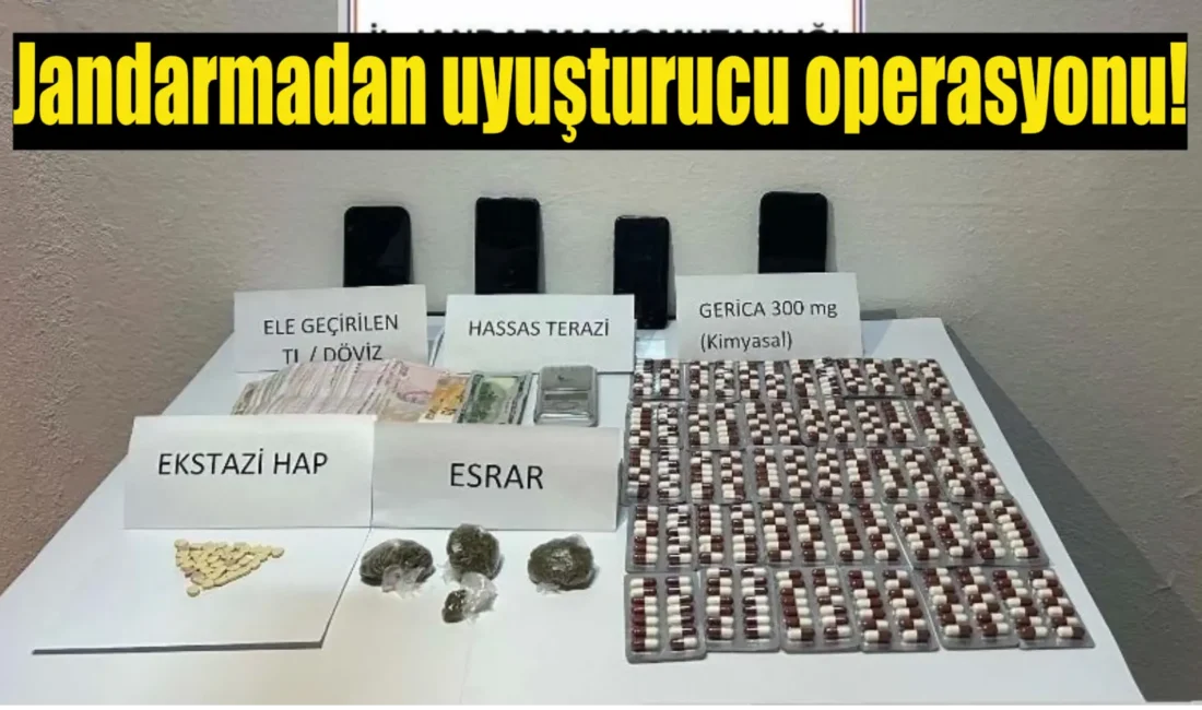 Bodrum’da jandarma ekiplerince düzenlenen