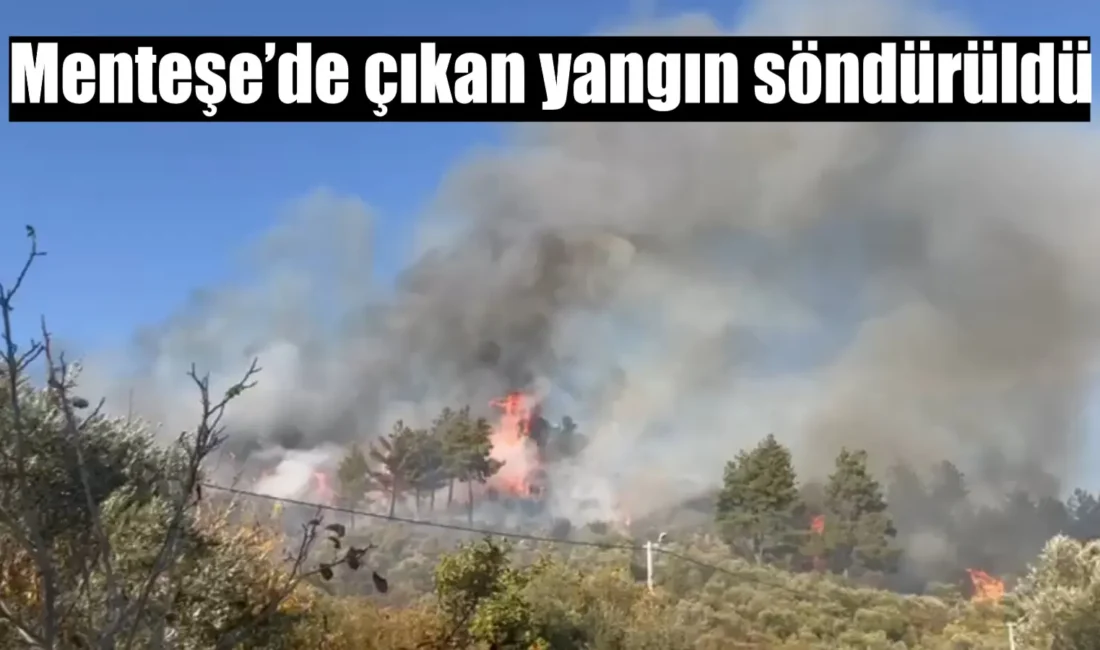 Muğla’nın Kafaca bölgesinde bugün