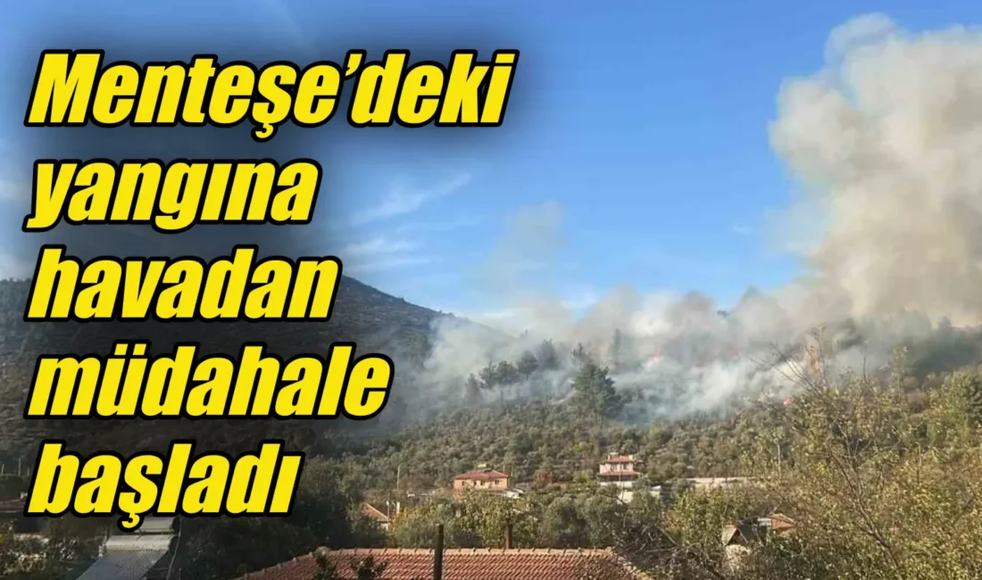 Muğla’nın Menteşe ilçesinde çıkan