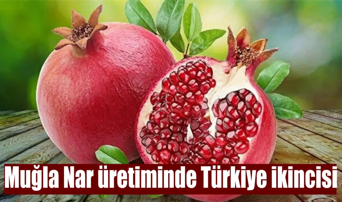 Türkiye’de en fazla Nar