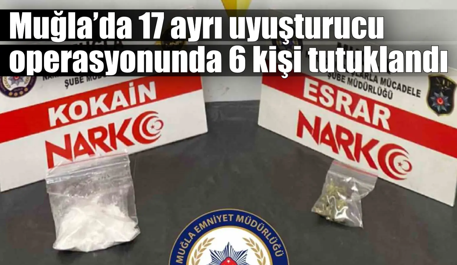 Muğla’da 17 ayrı uyuşturucu operasyonunda 6 kişi tutuklandı