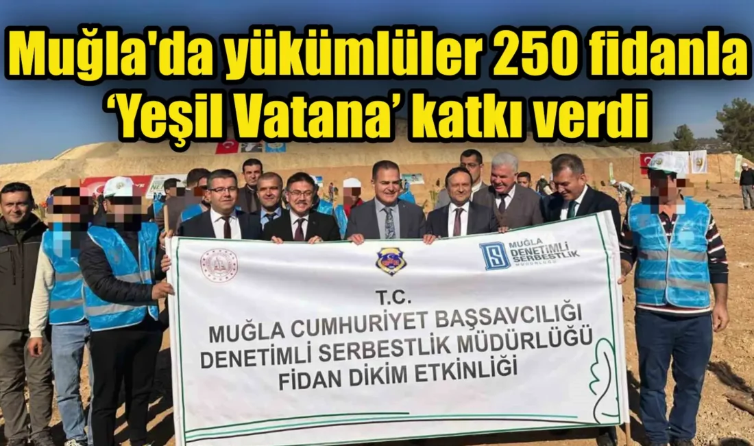 11 Kasım Milli Ağaçlandırma