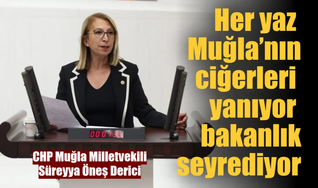 Muğla Milletvekili Süreyya Öneş