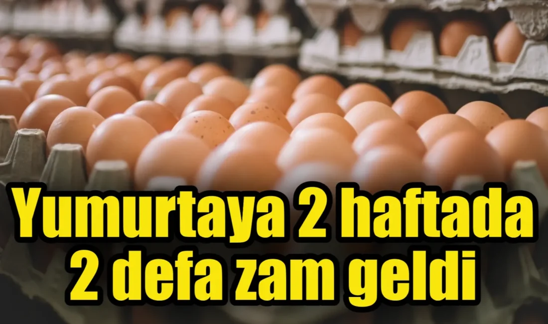 Yumurtaya iki hafta içinde