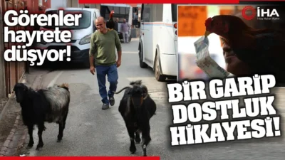 Bir Garip Dostluk Hikayesi: Herkes Ona Nuh’un Gemisi Diye Sesleniyor