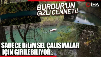 Sığla Ormanlarının Eşsiz Güzelliği! Sadece Muğla ve Burdur’da bulunuyor