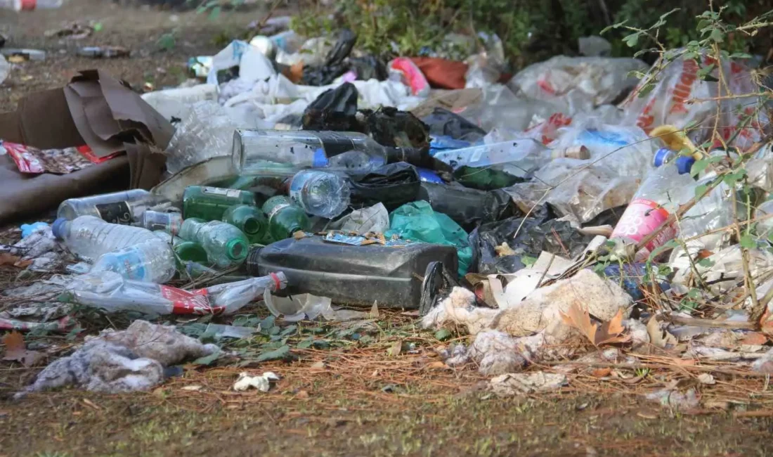 Fethiye’nin Esenköy Mahallesi, Çırpı