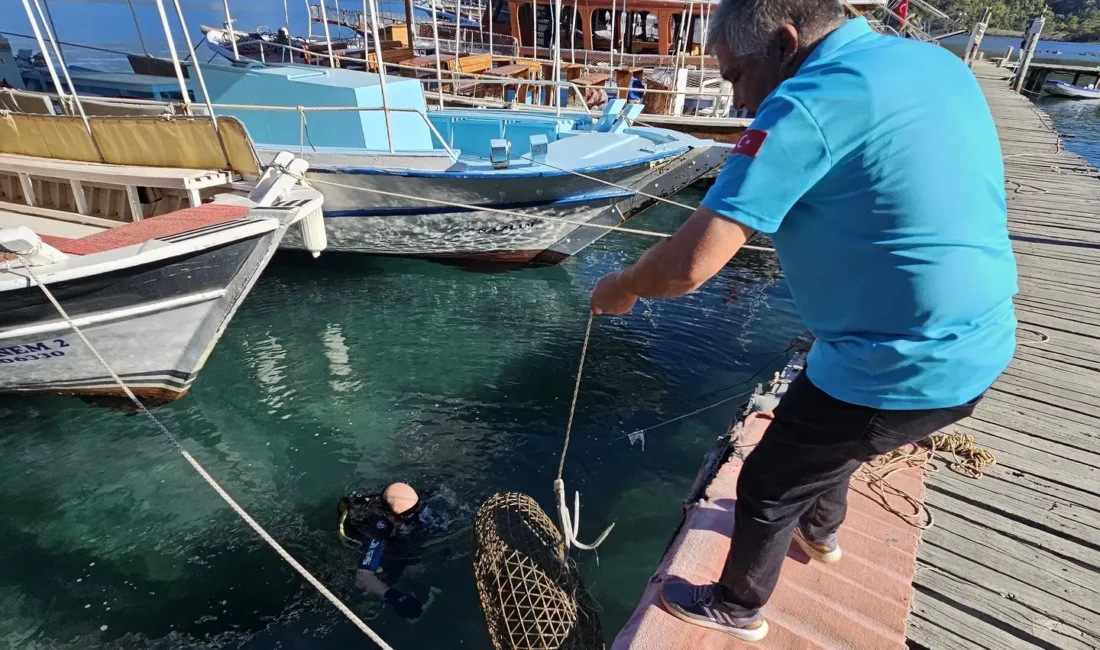 Muğla İl Tarım ve