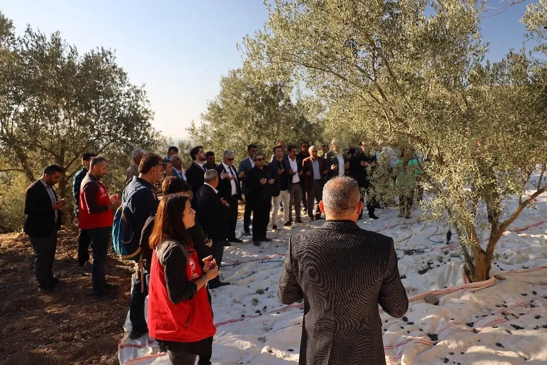 Kavaklıdere’de zeytin hasat sezonu Hillerima Antik Kenti’nde dualarla başladı