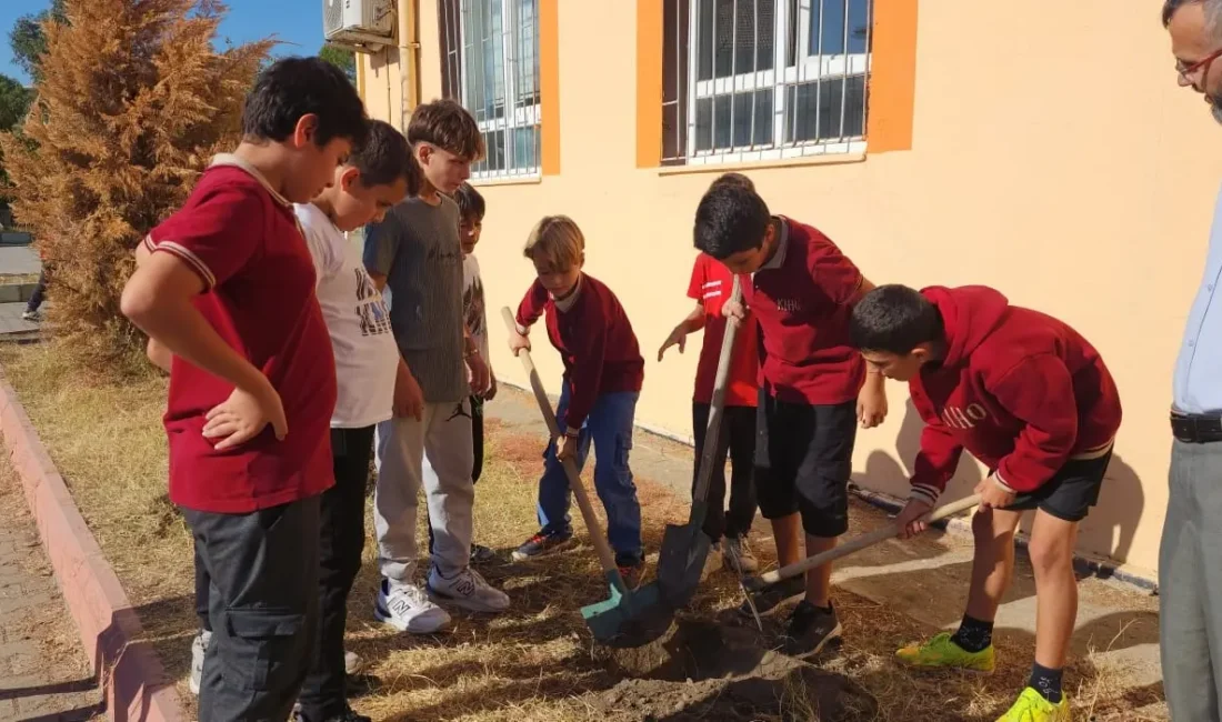 Muğla’nın Köyceğiz ilçesinde gençler