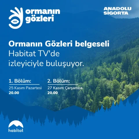 “Ormanın Gözleri” Belgeseli İzleyicilerle Buluşuyor