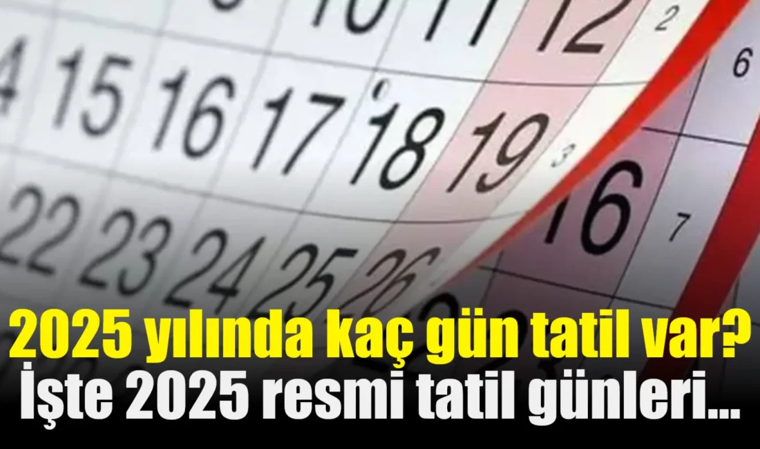 2024'ün bitmesine sayılı günler