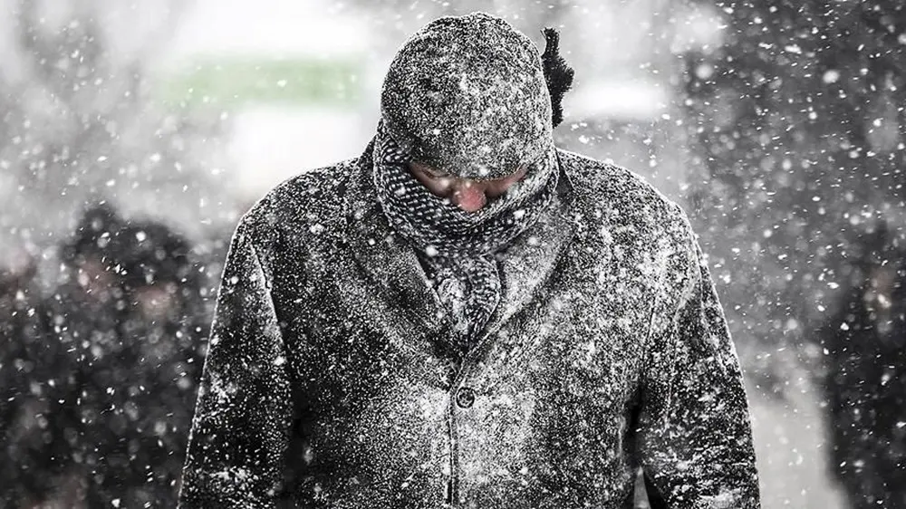 Dünya Meteoroloji Örgütünün analizlerine