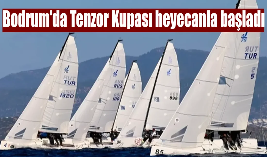 Tenzor Uluslararası Kupası -