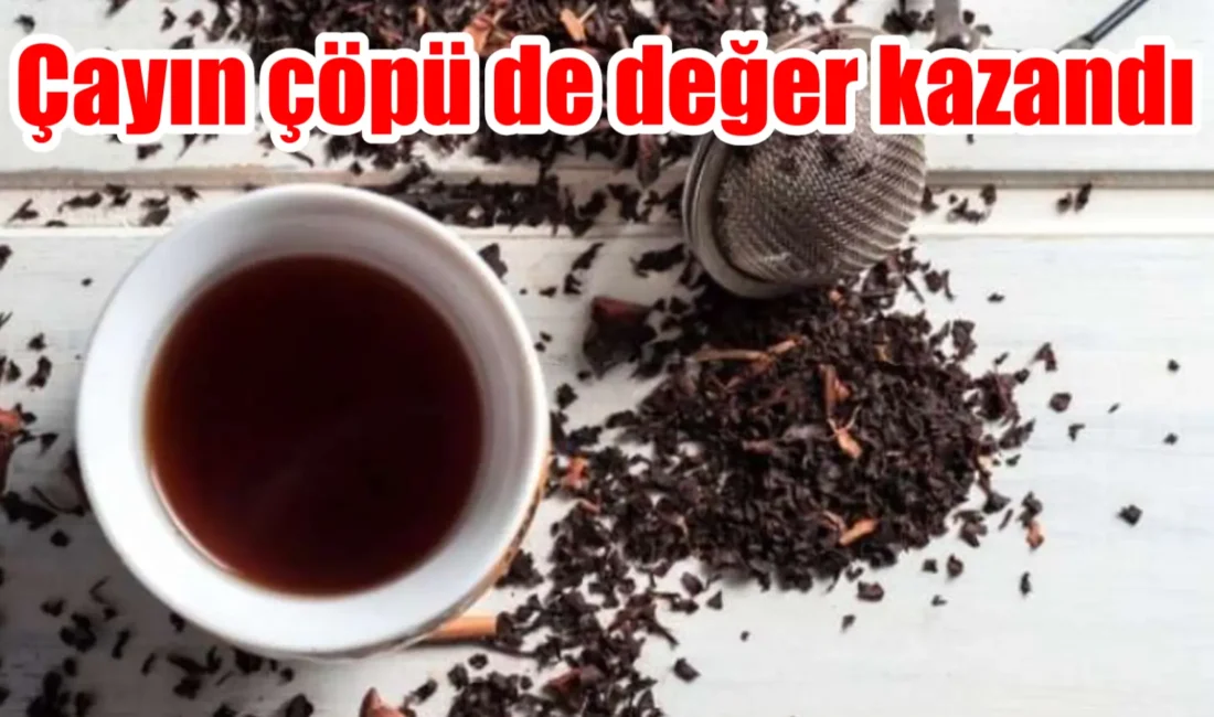 Rize'de çay çöpünden üretilen