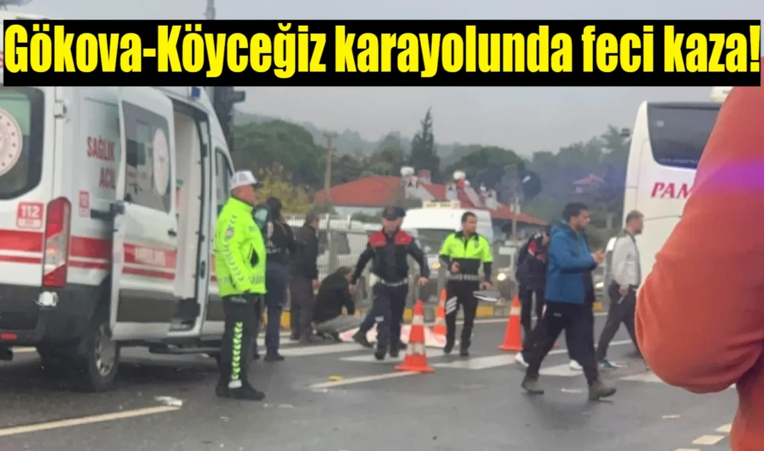 Muğla’da bisikleti ile yolun