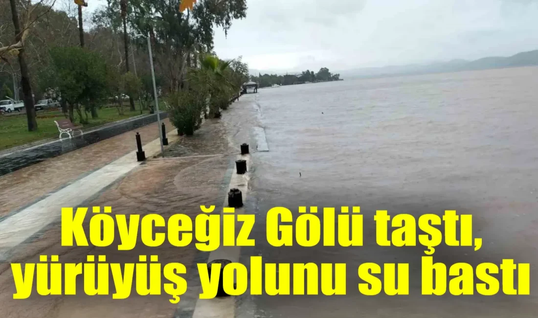 Muğla’nın Köyceğiz ilçesinde 3