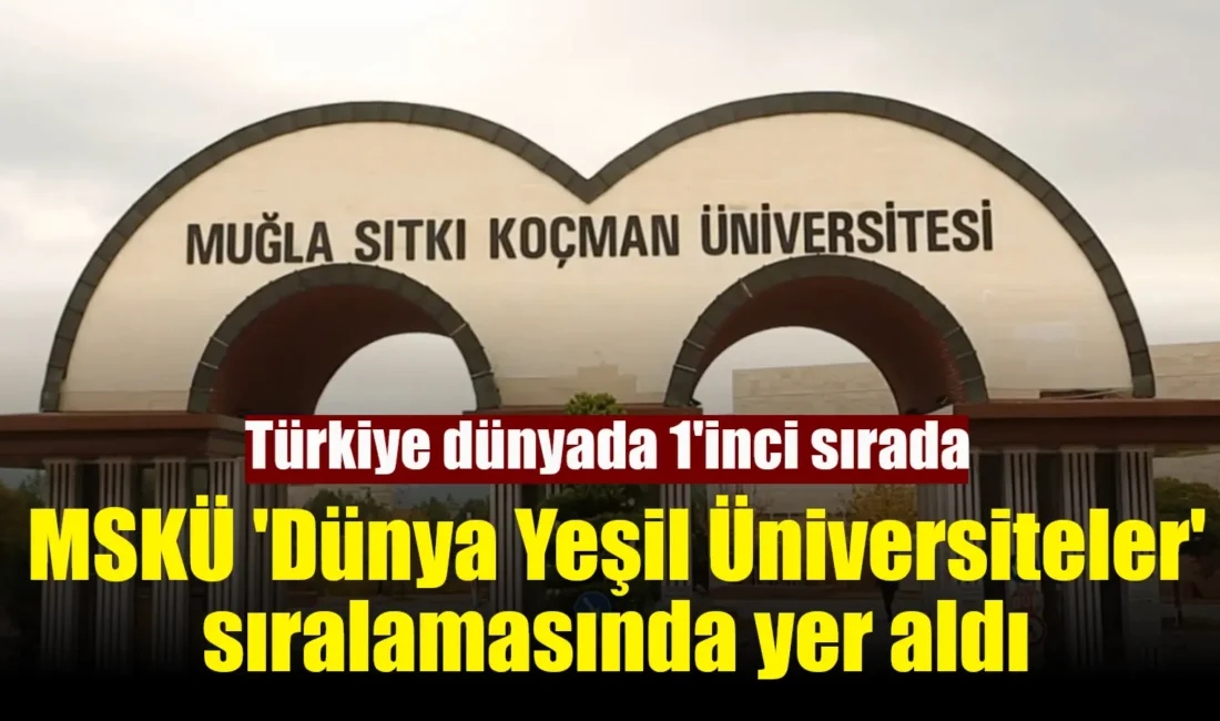 Yükseköğretim Kurulu (YÖK), 2024