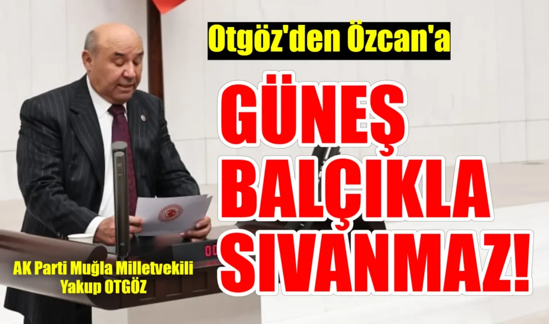 CHP Muğla Milletvekili Gizem