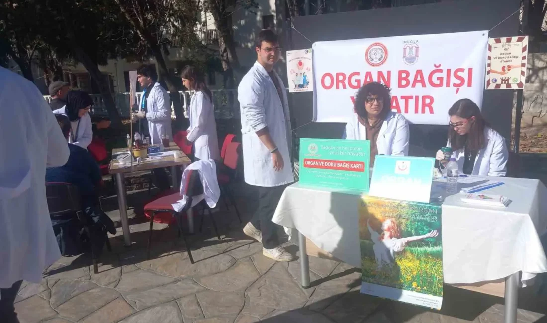 Muğla Sınırsızlık Meydanı’nda, organ