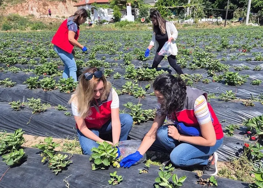 Program kapsamında, Muğla genelinde