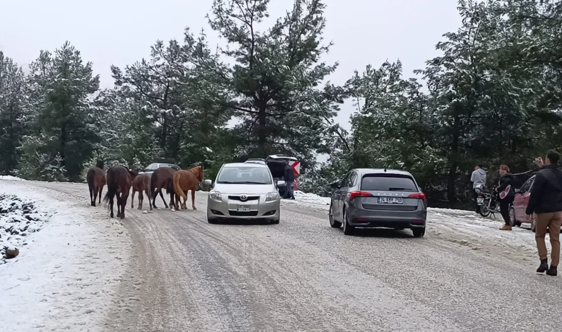 Manisa’nın eteklerine kurulan, Manisa