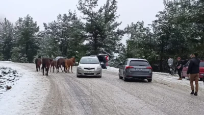 Spil Dağı Milli Parkı beyaza büründü