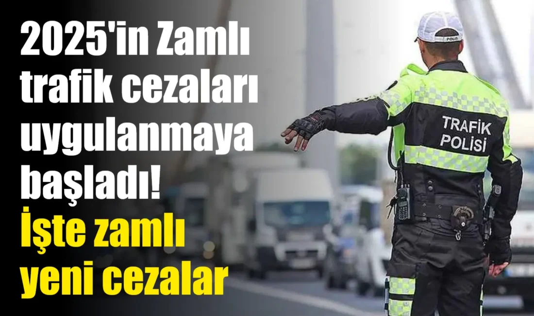 Trafik cezaları, Hazine ve Maliye Bakanlığı Gelir İdaresi Başkanlığınca yeniden