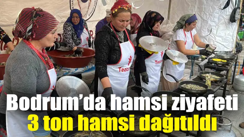 Bodrum İskele Meydanı’nda düzenlenen 9. Hamsi Festivali, hem lezzet hem