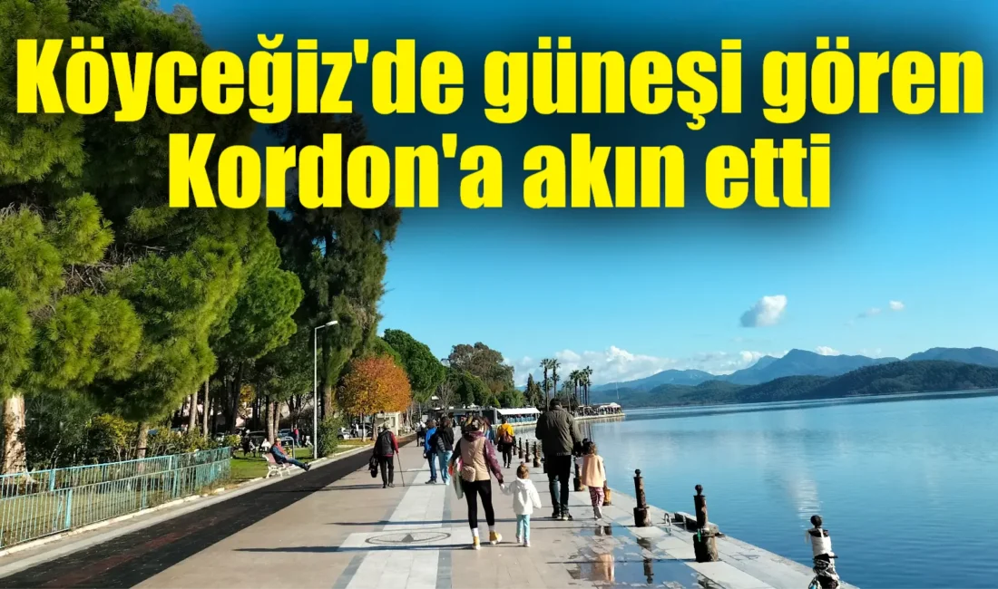 Muğla'nın Köyceğiz ilçesinde etkili olan sağanak yağışın ardından güneşli havayı