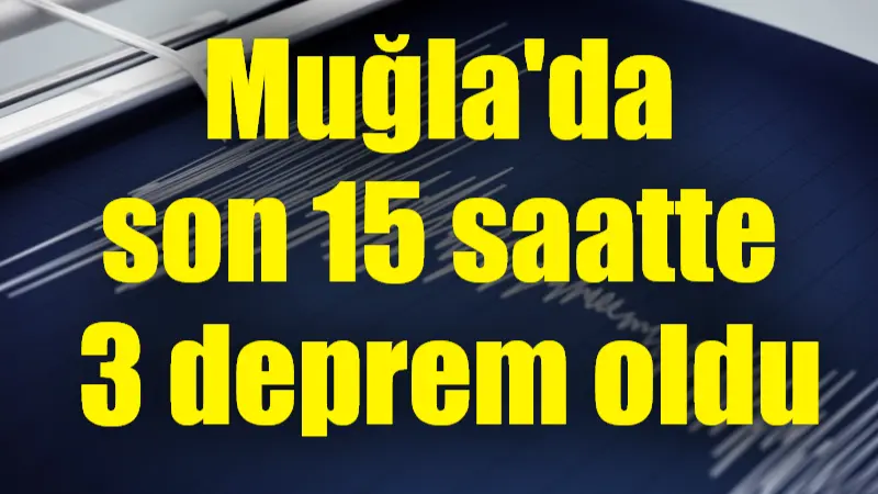 Muğla'da bugün saat 11.46'da 3.5 büyüklüğünde bir deprem meydana geldi.