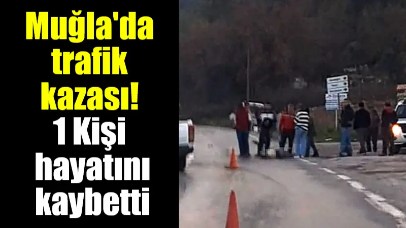 Muğla'nın Milas ilçesinde yolun yolun karşısına geçmek isterken okul taşıtının