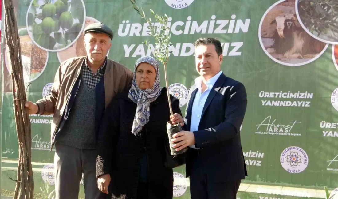 Muğla Büyükşehir Belediyesi tarafından düzenlenen törenle, il genelinde çiftçilere 70